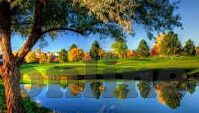 2018世界杯进球照片-2018世界杯进球瞬间，永恒的记忆