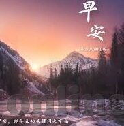 足球一周比分-足球一周比分全景，绿茵烽火中的激情与悬念